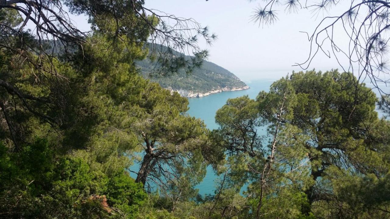 Olive&Sea Villa-Sea 马蒂纳塔 外观 照片